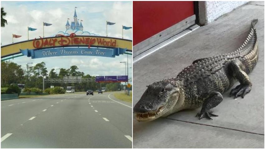 Construirán muro en Orlando donde un niño fue arrastrado por un cocodrilo