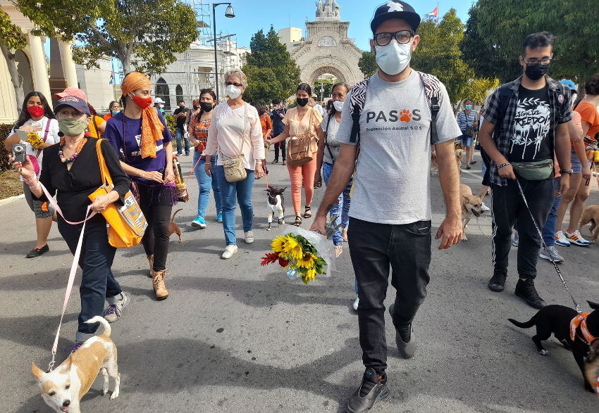 Animalistas cubanos marchan en el Cementerio de Colón pese a la negativa del Gobierno de La Habana para autorizarlos
