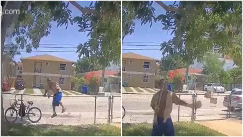 Captan en cámara a dos hombres robando mangos en una casa de Miami